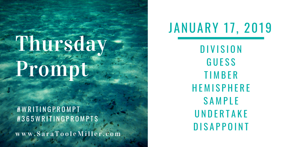 january 17 writing prompt